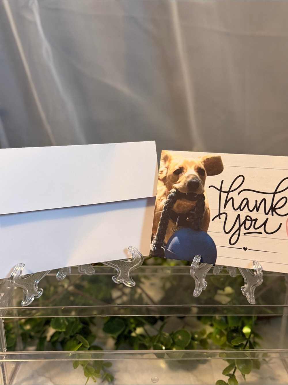 Dachshund Thank You Cards Set of 15 with White Envelopes Dog Stationery